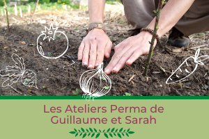 Atelier #3 Création de nouveaux espaces potagers