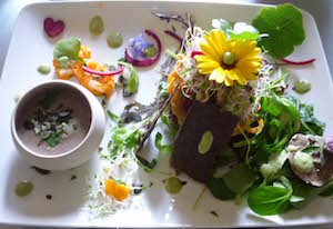 Initiation à la cuisine vivante