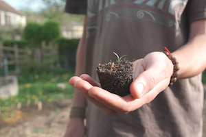 Week-end "Initiez-vous à la permaculture !" 