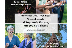 Euphonie vocale : verticalité dans le chant