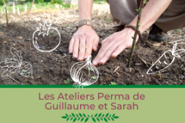 Atelier #2 : la gestion de l'eau au jardin